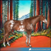 Horse Color:White Spotted Chestnut Tobiano 