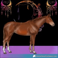 Horse Color:Chestnut Tobiano 