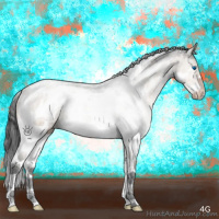 Horse Color:Bay Dun Splash Tobiano Frame Appaloosa 