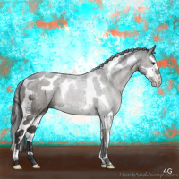 Horse Color:Grullo Splash Tobiano Brindle 