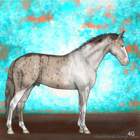 Horse Color:White Spotted Liver Red Dun Mushroom Sabino Brindle