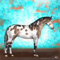 Horse Color:Brown Dun Splash Tobiano Frame 