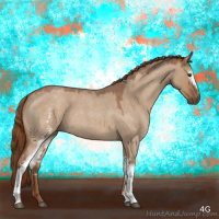 Horse Color:White Spotted Red Dun Roan 