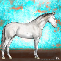 Horse Color:White Spotted Liver Red Dun Sabino Splash Brindle 