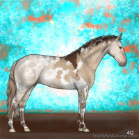 Horse Color:Liver Red Dun Tobiano 