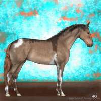 Horse Color:Liver Red Dun Sabino Tobiano 