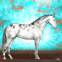 Horse Color:Brown Dun Mushroom Splash Tobiano Frame Appaloosa 