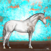 Horse Color:White Spotted Liver Red Dun Roan Mushroom Rabicano Brindle 