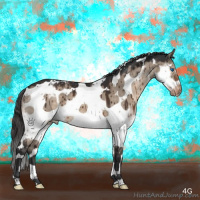 Horse Color:Brown Dun Mushroom Splash Tobiano Frame Appaloosa Brindle 
