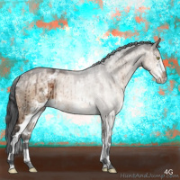 Horse Color:White Spotted Bay Dun Sabino Brindle 