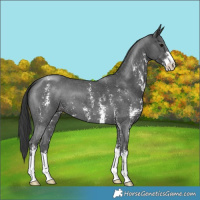 Horse Color:Black Sabino