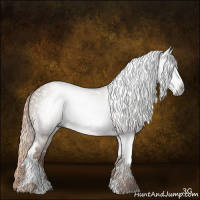 Horse Color:Gray Liver Red Dun Tobiano 
