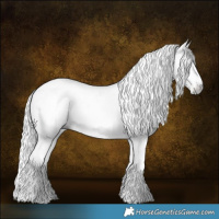 Horse Color:Gray Gold Champagne Roan Dun Frame