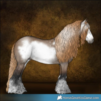 Horse Color:Gray Liver Red Dun Frame Rabicano 