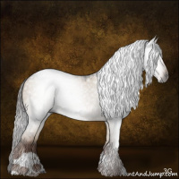 Horse Color:Gray Liver Red Dun Tobiano Rabicano 