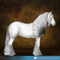 Horse Color:Gray Grullo Tobiano 
