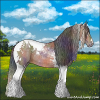 Horse Color:Nacre Bay Roan Tobiano 