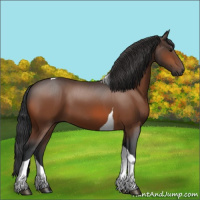 Horse Color:Bay Tobiano 