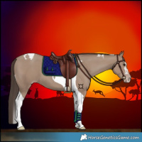 Horse Color:Classic Champagne Tobiano 