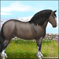 Horse Color:Brown Dun Sabino Appaloosa 