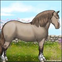 Horse Color:Liver Red Dun Sabino 