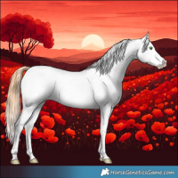 Horse Color:Bay Pearl Sabino Appaloosa
