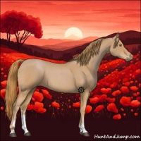 Horse Color:Red Roan Sabino 