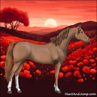 Horse Color:Chestnut Sabino