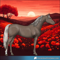 Horse Color:Silver Black Sabino 