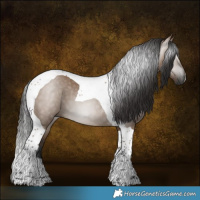 Horse Color:Gray Liver Red Dun Tobiano 