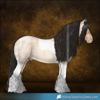 Horse Color:Gray Amber Cream Champagne Roan Tobiano