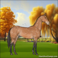 Horse Color:Bay Snowflake Varnish 