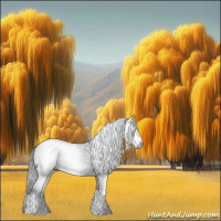 Horse Color:Gray Blue Roan Splash