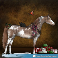Horse Color:White Spotted Liver Red Dun Sabino Brindle 