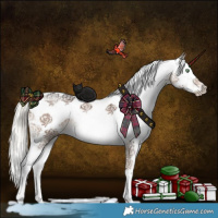 Horse Color:Liver Red Dun Mushroom Sabino Rabicano Brindle 