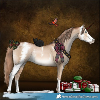 Horse Color:Liver Red Dun Pearl Sabino 