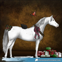 Horse Color:Brown Dun Sabino 