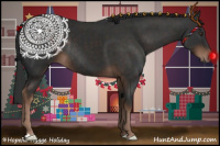 Horse Color:Liver Chestnut Rabicano
