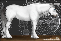 Horse Color:Gray Liver Chestnut Sabino Tobiano Frame 