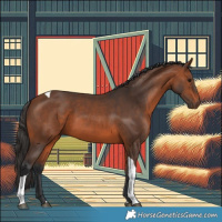 Horse Color:Bay Tobiano 