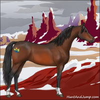 Horse Color:Bay Tobiano 