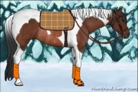 Horse Color:Bay Tobiano Rabicano