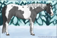 Horse Color:Blue Roan Splash Tobiano
