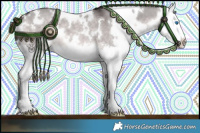 Horse Color:Platinum White Spotted Brown Dun Splash