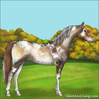 Horse Color:White Spotted Liver Red Onyx 