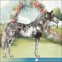 Horse Color:White Spotted Midnight Chocolate Palomino Mushroom Sabino 