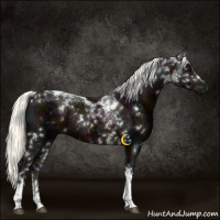 Horse Color:White Spotted Midnight Liver Chestnut Ice Mushroom Tobiano Rabicano