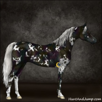 Horse Color:White Spotted Midnight Liver Chestnut Ice Mushroom 