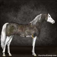 Horse Color:Liver Red Dun Ice Mushroom Splash Brindle 