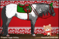 Horse Color:Blue Roan Appaloosa 
